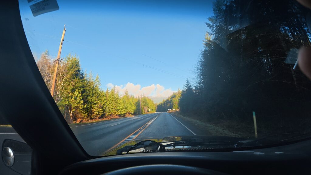 Cruising the Rainforest Looking for Sasquatch