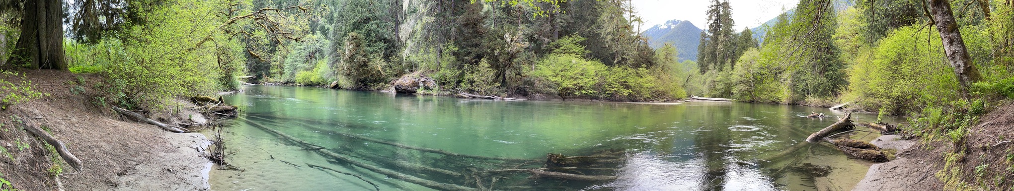 Encounters USA Investigation Near the Lori Simmons Bigfoot Tree