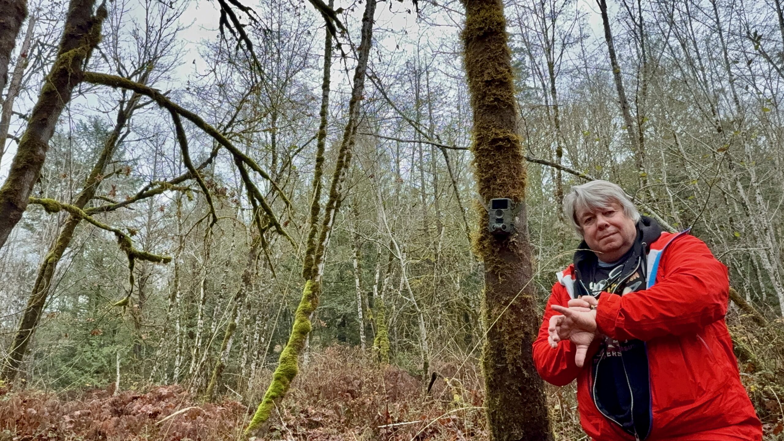 Harstine Island Matthew Heines Encounters USA Trail Camera
