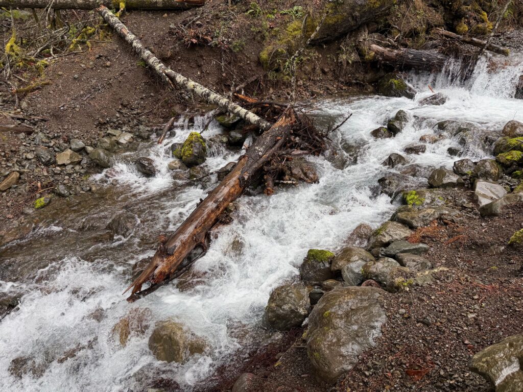 Missing 911 Oympic National Pakr Stair Case Trail Waterfall
