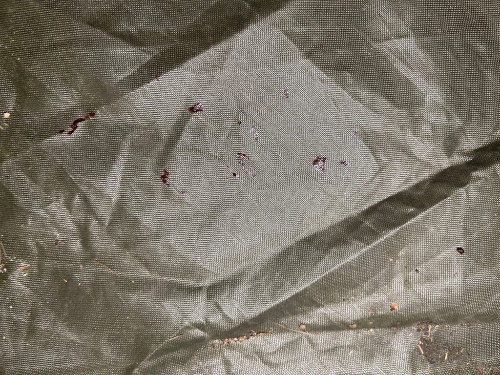 Close-up photograph of multiple small reddish blood-like drops on green tent fabric, evidence from a sudden high strangeness occurrence.