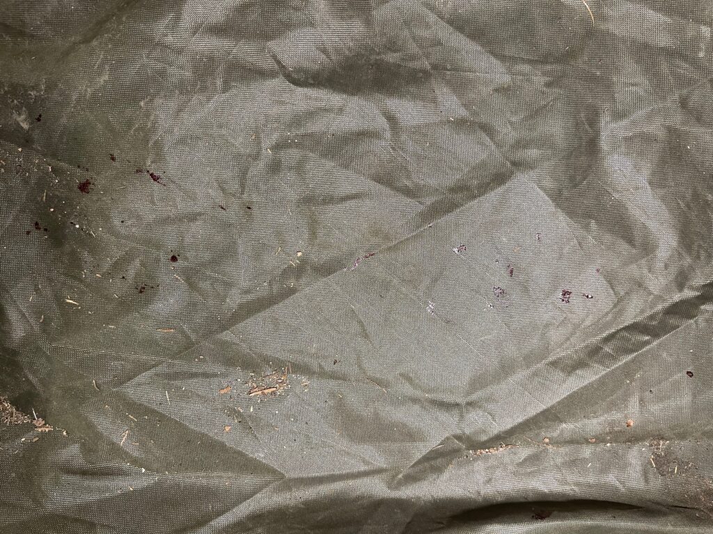 Close-up view of multiple small reddish-brown blood-like drops and spots scattered on the dark green tent floor that mysteriously appeared in the center of the tent during a paranormal field investigation.