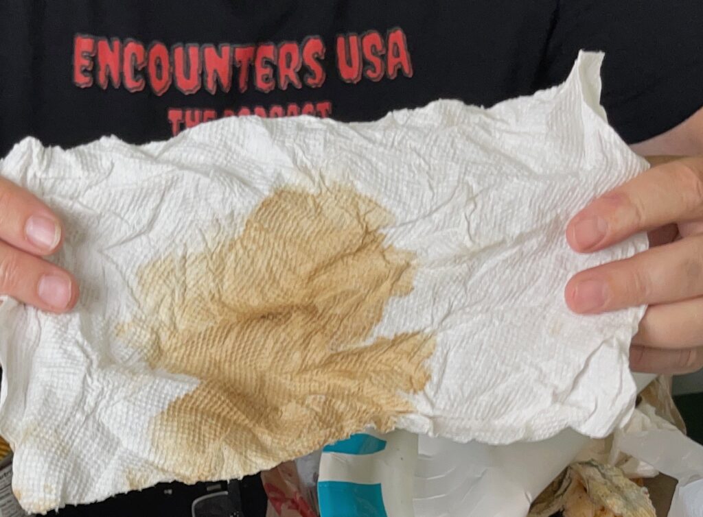 Close-up of a crumpled white paper towel held by Matthew D. Heines showing a large brownish dried blood-like stain collected from the floor of his tent during the Cascade Bigfoot Blood Mystery investigation.